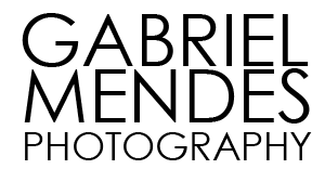 Gabriel Mendes Blog logo